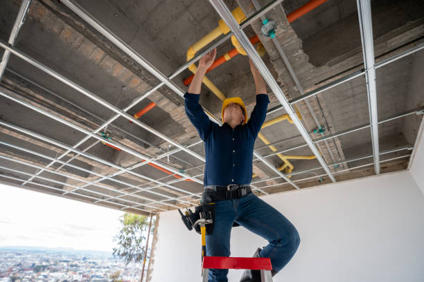 Best Plumbing Repair Near Me  in Pleasant Hill, PA